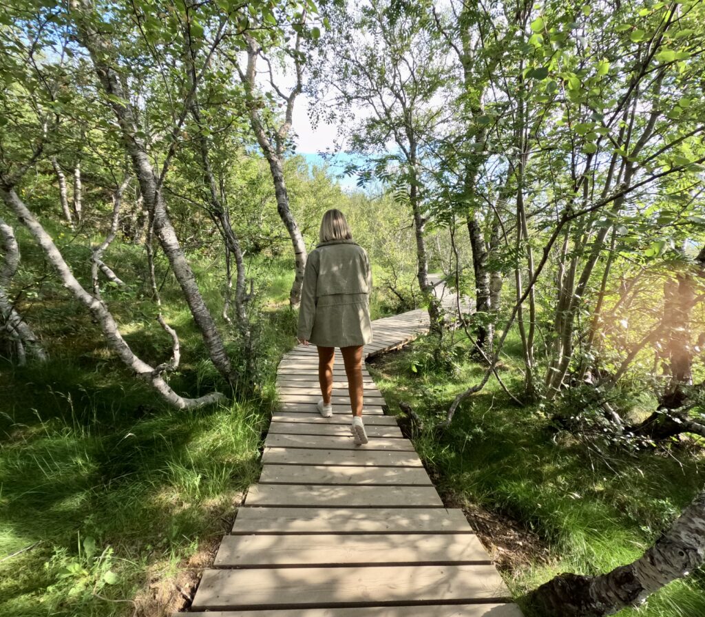 tourist walking on boardwalk in thingvellir national park golden circle iceland