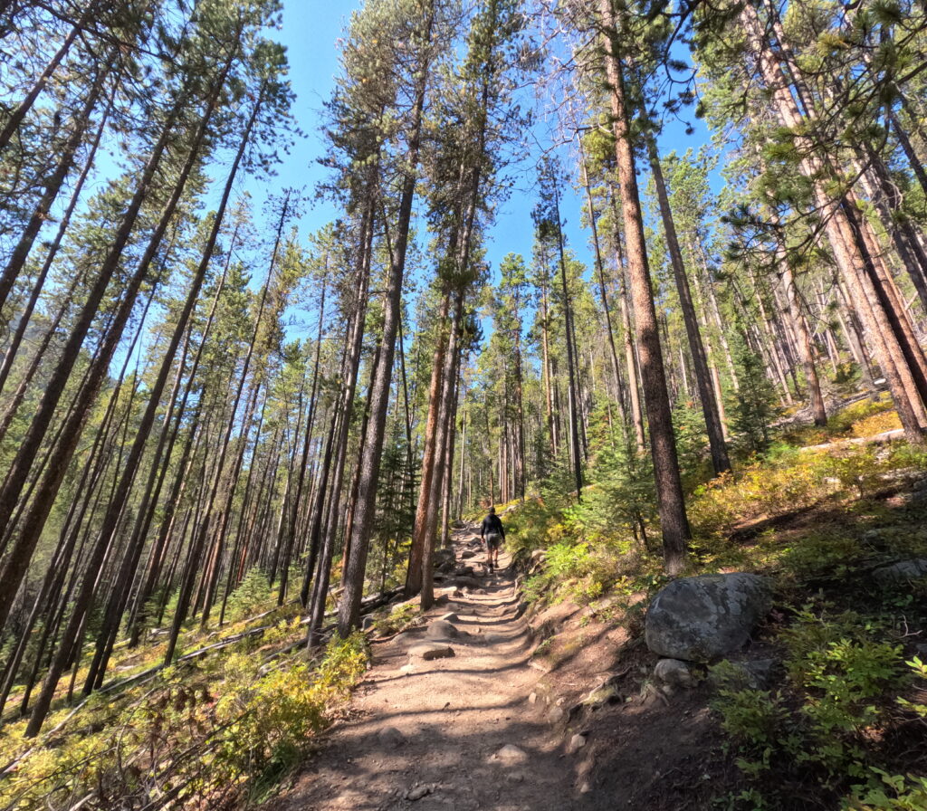 Lava Lake Hike Montana