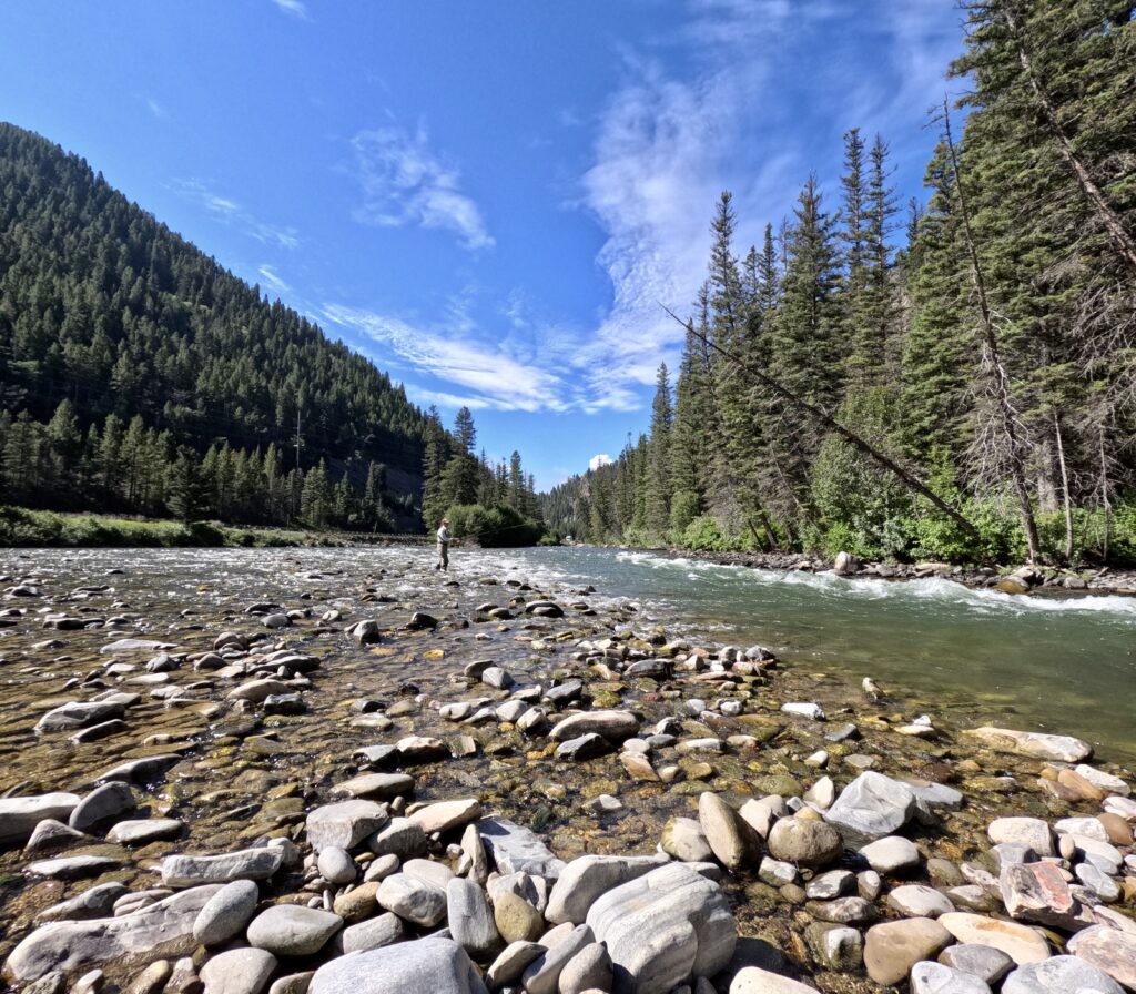 Fly Fishing in Montana