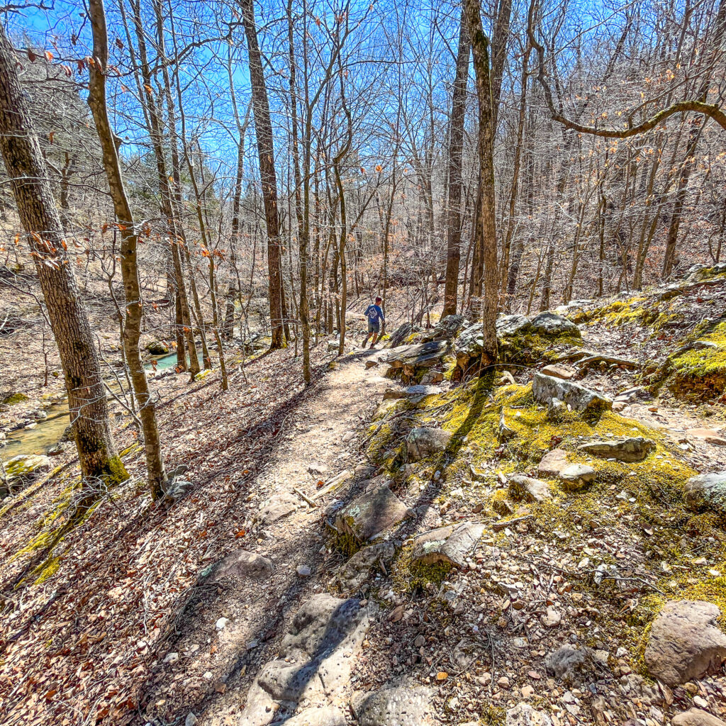 buffalo national river hiking