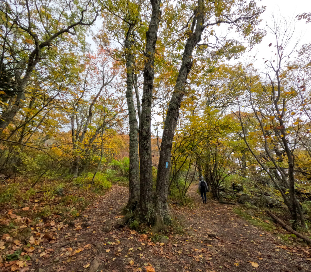 Shenandoah National Park