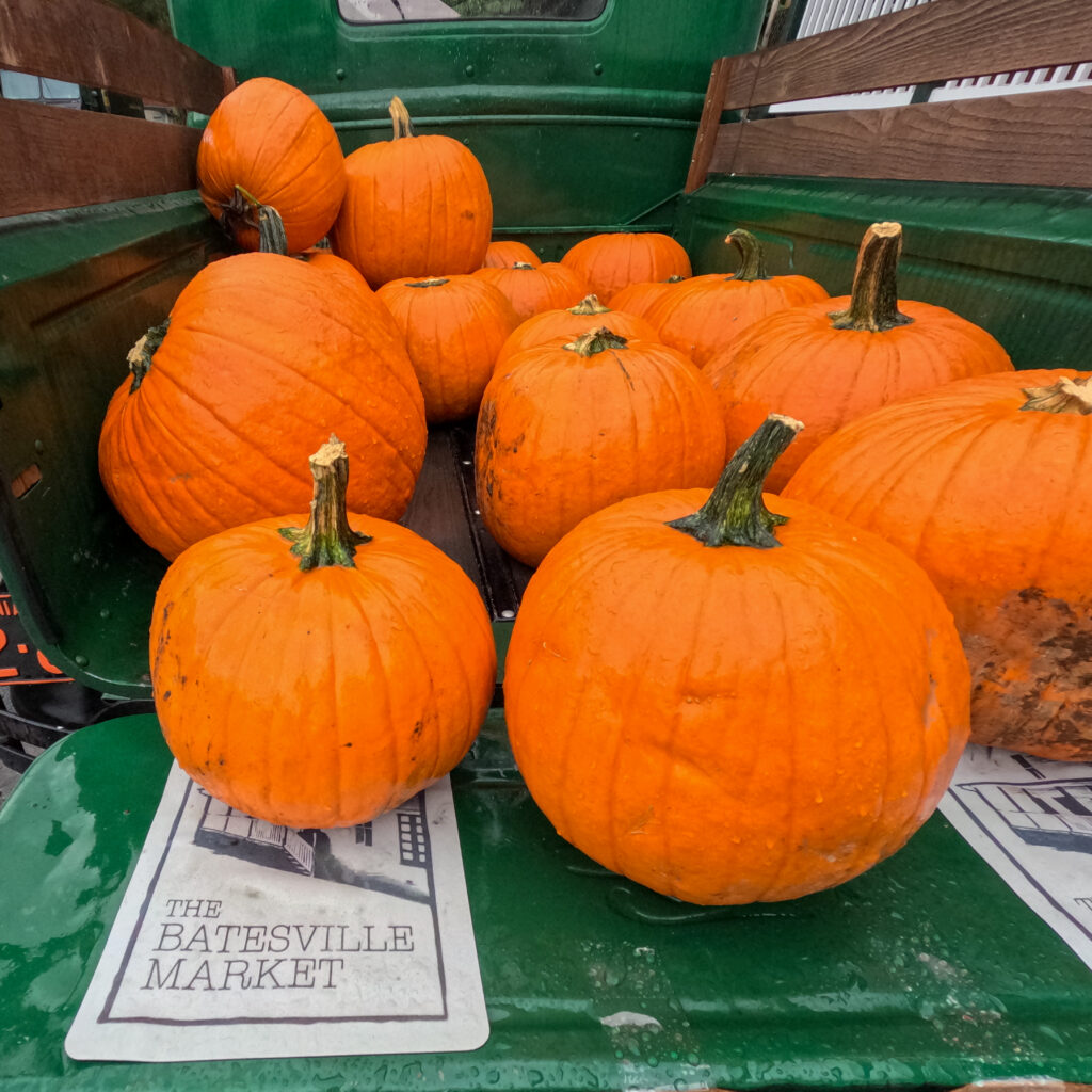 pumpkins at batesville market