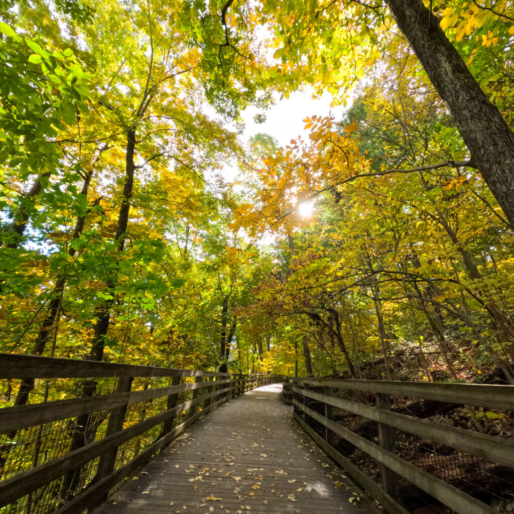 monticello trail