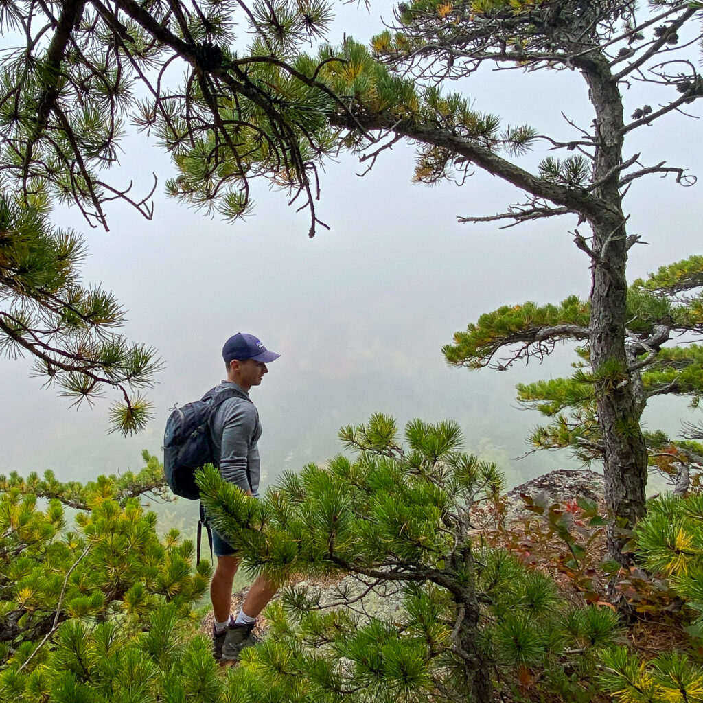 Man standing behind trees with fog in the background