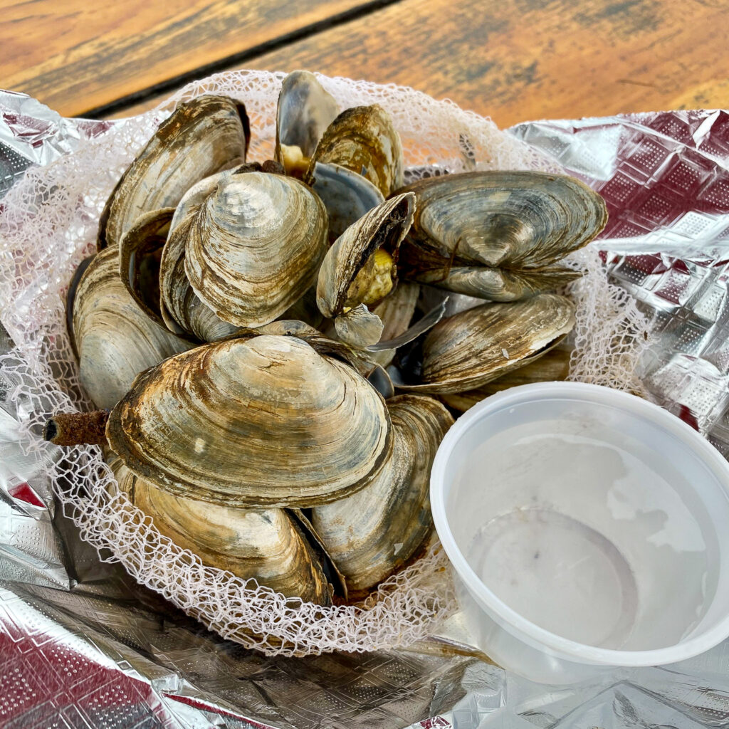 Steamed Clams